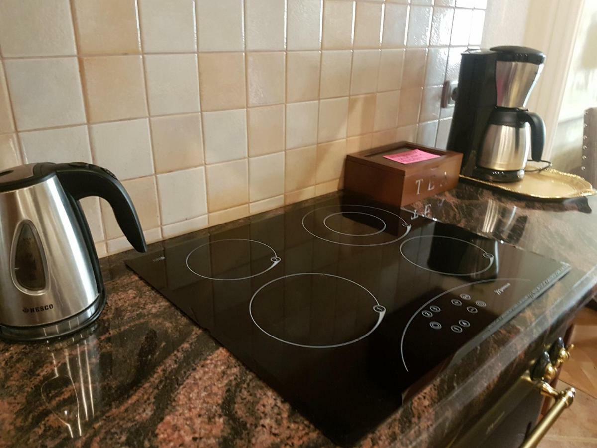 Goldstar Luxury Old Town Krakow Apartment Extérieur photo